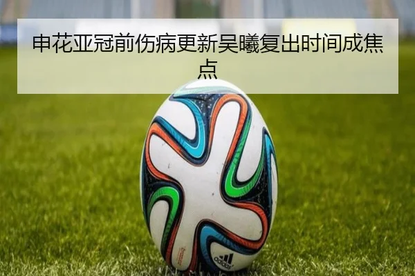 申花亚冠前伤病更新吴曦复出时间成焦点（WukongSports）